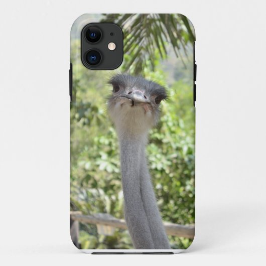 Ostrich Case-Mate iPhone Case (Achterkant)