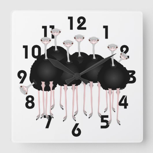 Ostrich Clock Vierkante Klok (Voorkant)