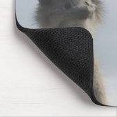 Ostrich Couple Mousepad Muismat (Hoek)