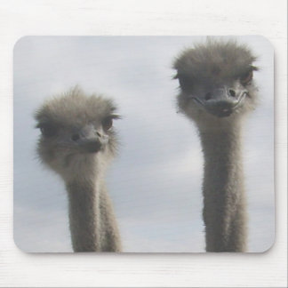 Ostrich Couple Mousepad Muismat