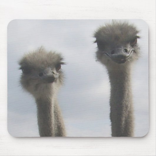 Ostrich Couple Mousepad Muismat (Voorkant)