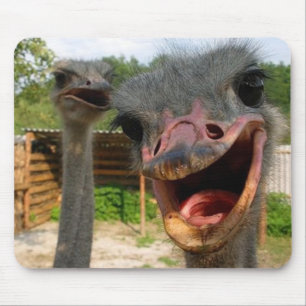 Ostrich Couple Mousepad Muismat