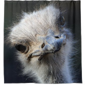 Ostrich Douchegordijn (Voorkant)