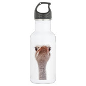 Ostrich Face Waterfles (Voorkant)