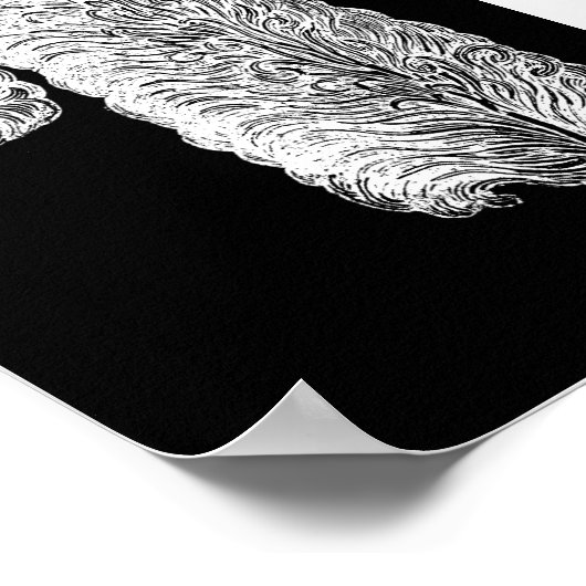 Ostrich Feather Print (Hoek)