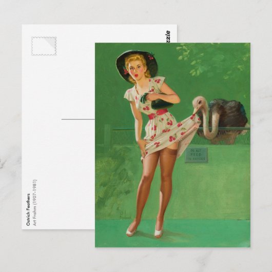 Ostrich Feathers Briefkaart (Voorkant / Achterkant)