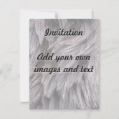 Ostrich Feathers Kaart (Voorkant)