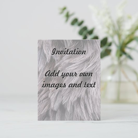 Ostrich Feathers Kaart (Staand voorkant)