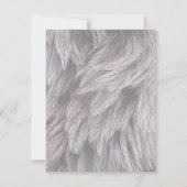 Ostrich Feathers Kaart (Achterkant)