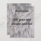 Ostrich Feathers Kaart (Voorkant / Achterkant)