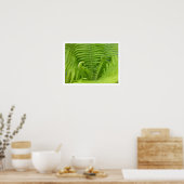 Ostrich Ferns met Fiddlehead Poster (Keuken)