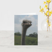 Ostrich gezicht van "I'm Sorry" Notecard Kaart (Gele Bloem)