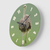 Ostrich Grote Klok (Hoek)