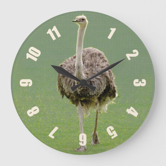 Ostrich Grote Klok (Voorkant)