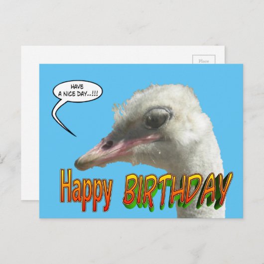 Ostrich Happy Birthday  Briefkaart (Voorkant / Achterkant)