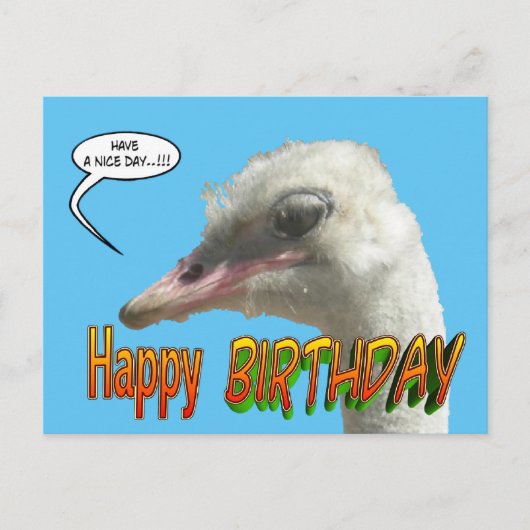 Ostrich Happy Birthday Briefkaart (Voorkant)