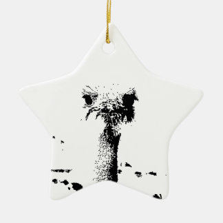 Ostrich Head in Pen en Ink Keramisch Ornament