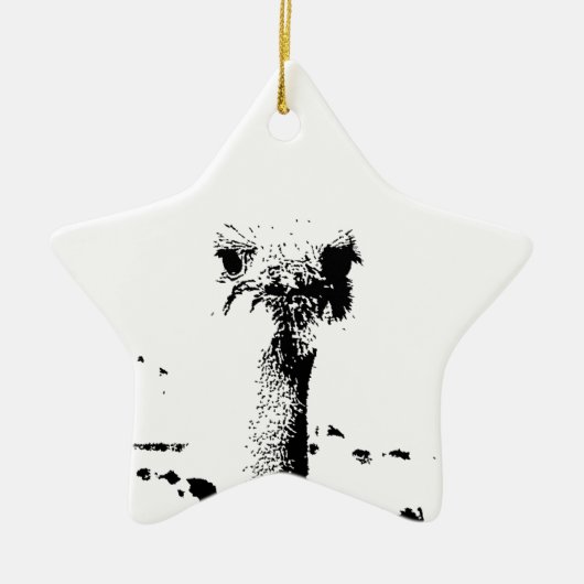Ostrich Head in Pen en Ink Keramisch Ornament (Voorkant)
