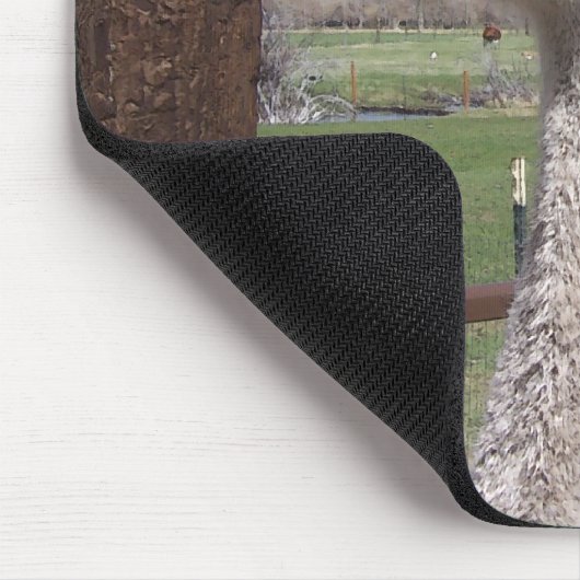 Ostrich Head Muismat (Hoek)