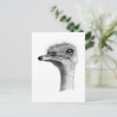 OSTRICH HOOFD IN PENCIL: KUNST: REALISME BRIEFKAART (Staand voorkant)