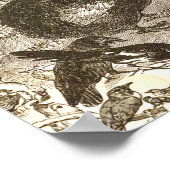 Ostrich Illustratie Struthio camelus Poster (Hoek)