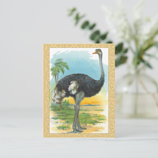 Ostrich in Afrika Briefkaart (Staand voorkant)