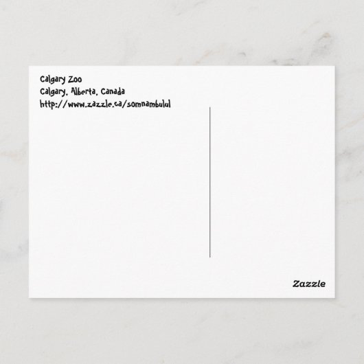 Ostrich in de sneeuw briefkaart (Achterkant)