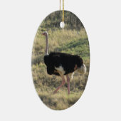 Ostrich Keramisch Ornament (Rechts)