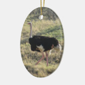 Ostrich Keramisch Ornament (Links)