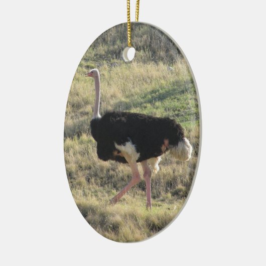 Ostrich Keramisch Ornament (Links)