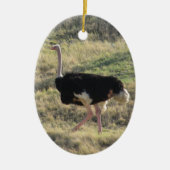 Ostrich Keramisch Ornament (Voorkant)