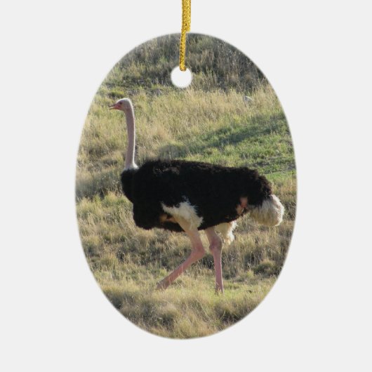 Ostrich Keramisch Ornament (Voorkant)