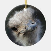 Ostrich Keramisch Ornament (Voorkant)