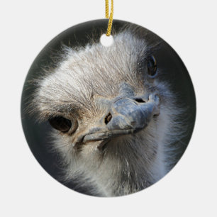 Ostrich Keramisch Ornament