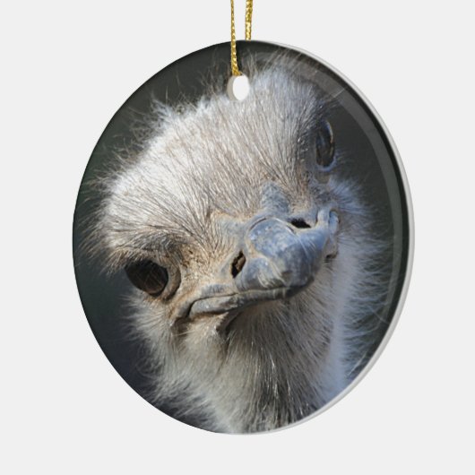 Ostrich Keramisch Ornament (Links)