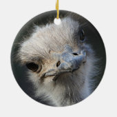 Ostrich Keramisch Ornament (Achterkant)