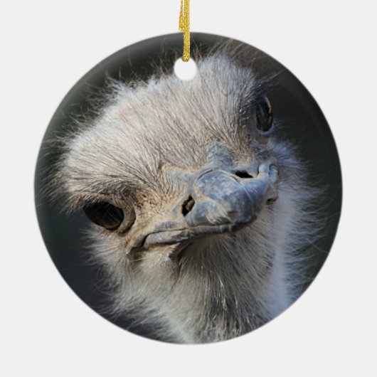 Ostrich Keramisch Ornament (Achterkant)