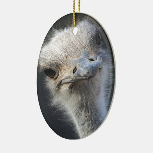 Ostrich Keramisch Ornament (Links)