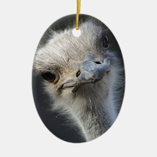 Ostrich Keramisch Ornament (Voorkant)