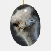 Ostrich Keramisch Ornament (Achterkant)