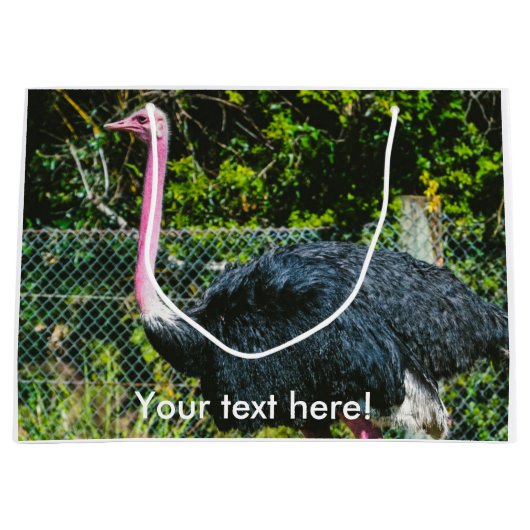 Ostrich Large Cadeautasje (Voorkant)
