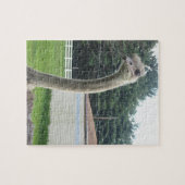 Ostrich Legpuzzel (Horizontaal)