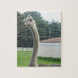 Ostrich Legpuzzel