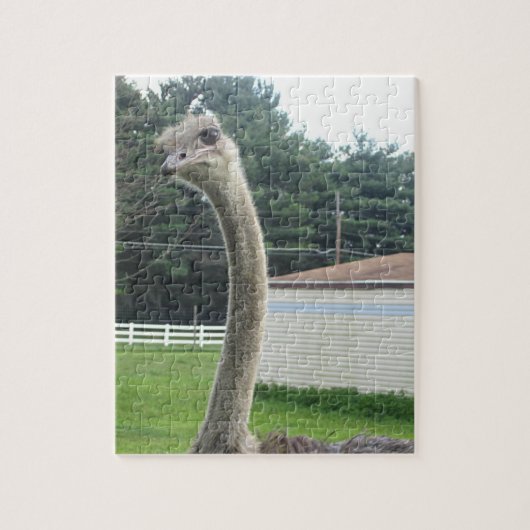 Ostrich Legpuzzel (Verticaal)