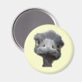 Ostrich Magneet (Voorkant / Achterkant)