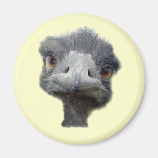 Ostrich Magneet (Voorkant)