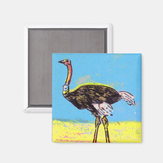 Ostrich Magneet (Voorkant / Achterkant)