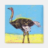 Ostrich Magneet (Voorkant)