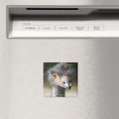 Ostrich Magneet (Insitu (Vaatwasser))