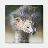 Ostrich Magneet (Voorkant)